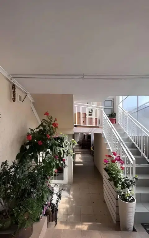 services image